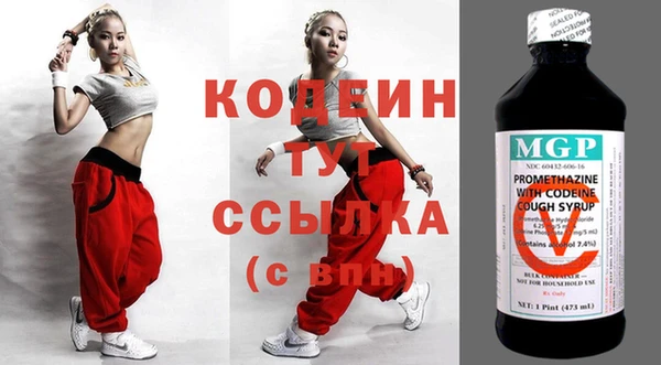 индика Новокубанск