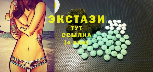индика Новокубанск