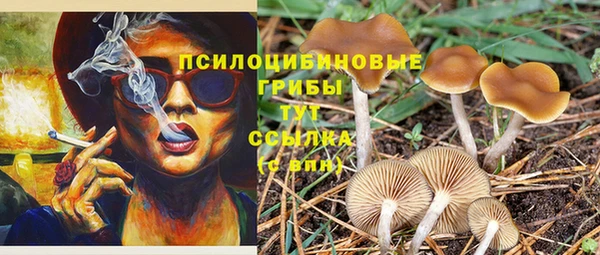 хмурый Новодвинск