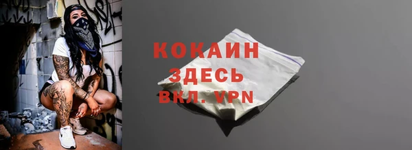 индика Новокубанск