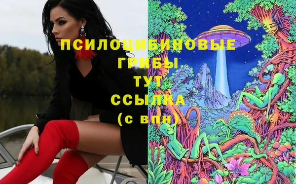 jwh Бородино