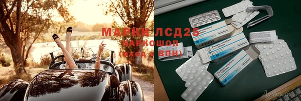 индика Новокубанск