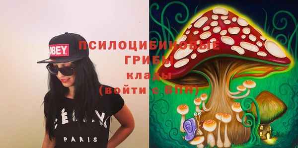хмурый Новодвинск