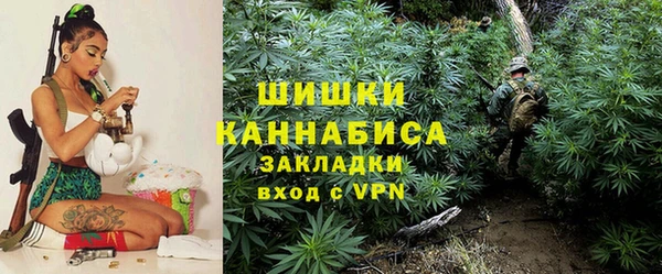 прущие крисы Новозыбков