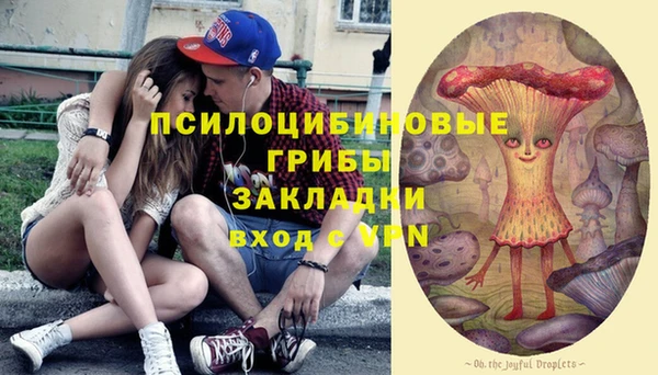 индика Новокубанск